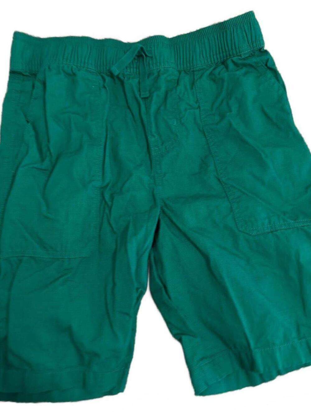 Tea Collection Boys Green Casual Shorts Size 12